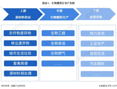 生物燃料行业产业链全景梳理及区域热力地图